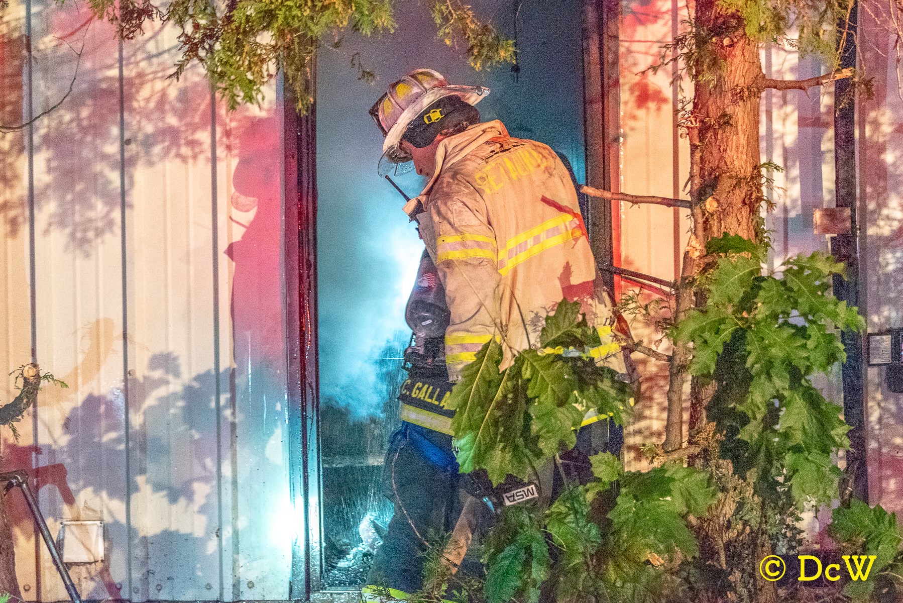 Dennis Whittam Photo