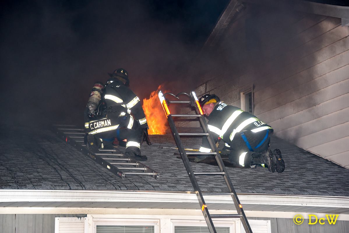 Dennis Whittam Photo