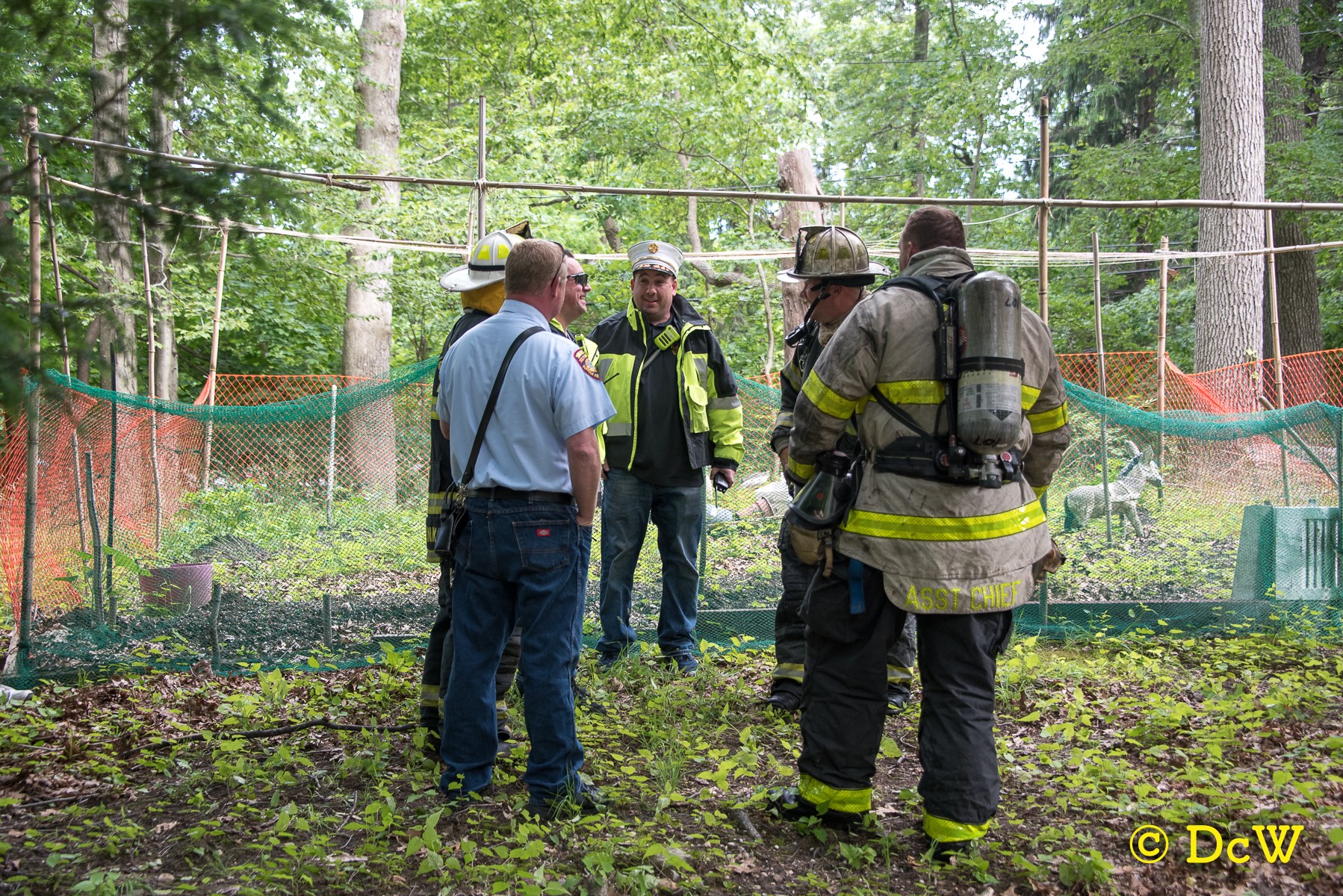 Dennis Whittam Photo