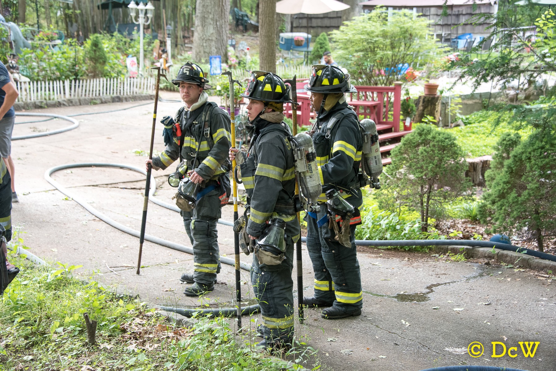 Dennis Whittam Photo