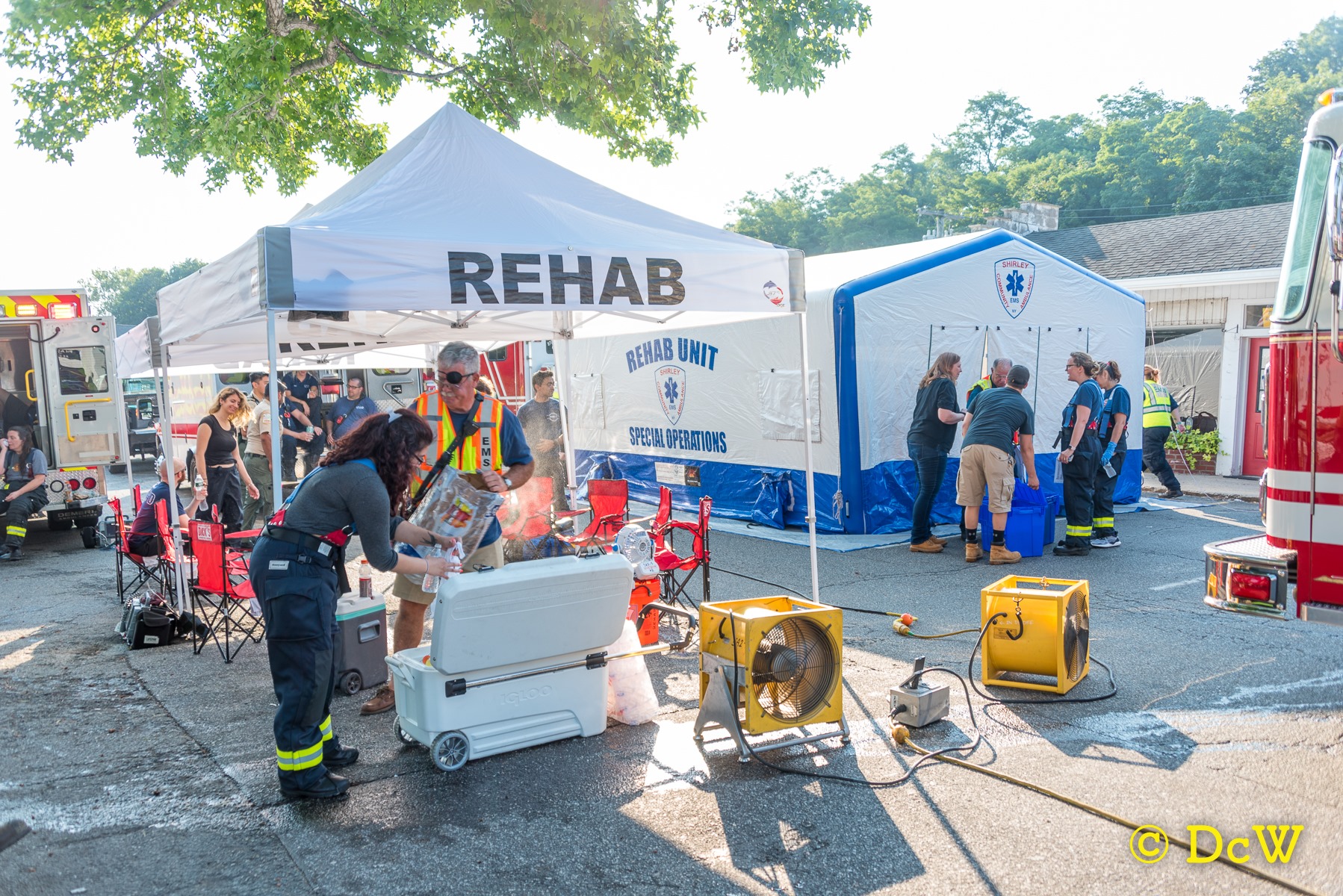 Dennis Whittam Photo