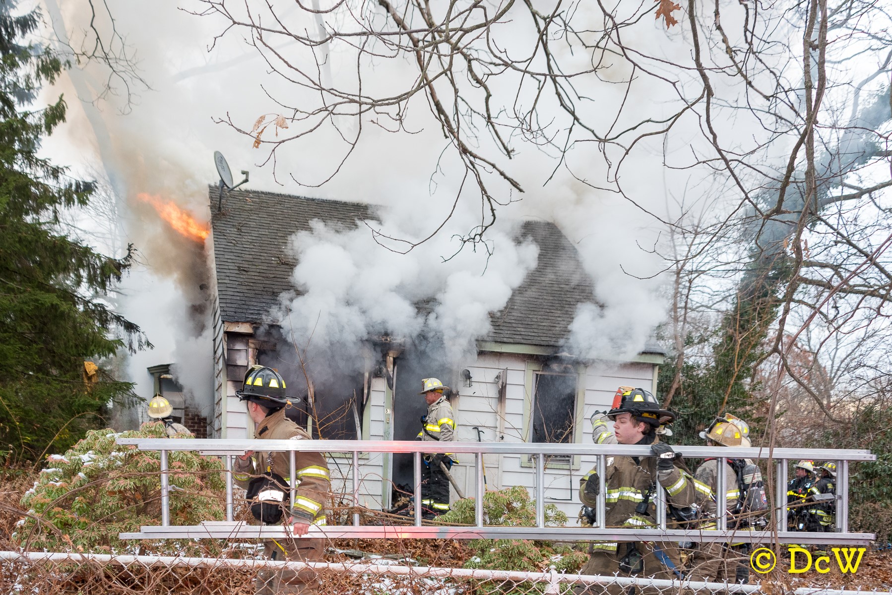 Dennis Whittam Photo