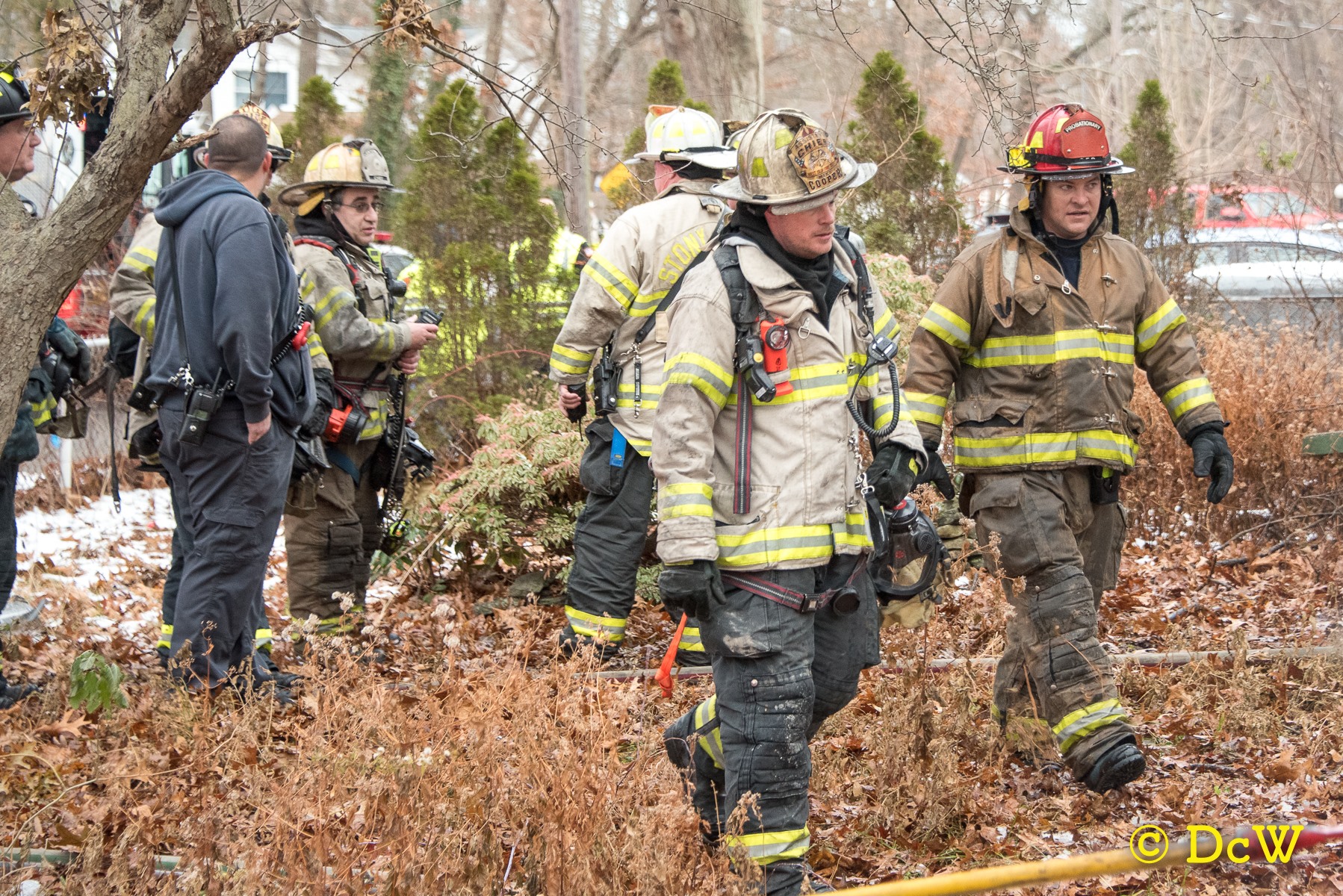 Dennis Whittam Photo