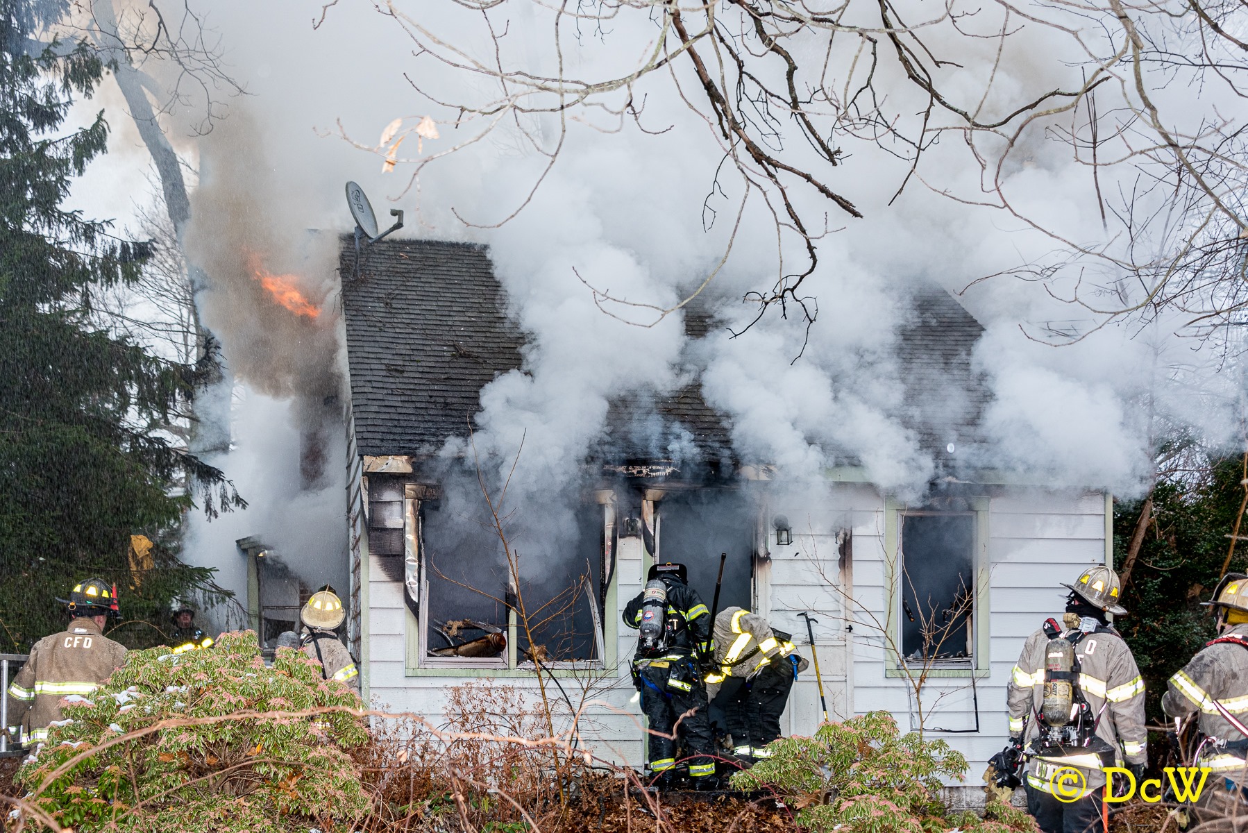 Dennis Whittam Photo