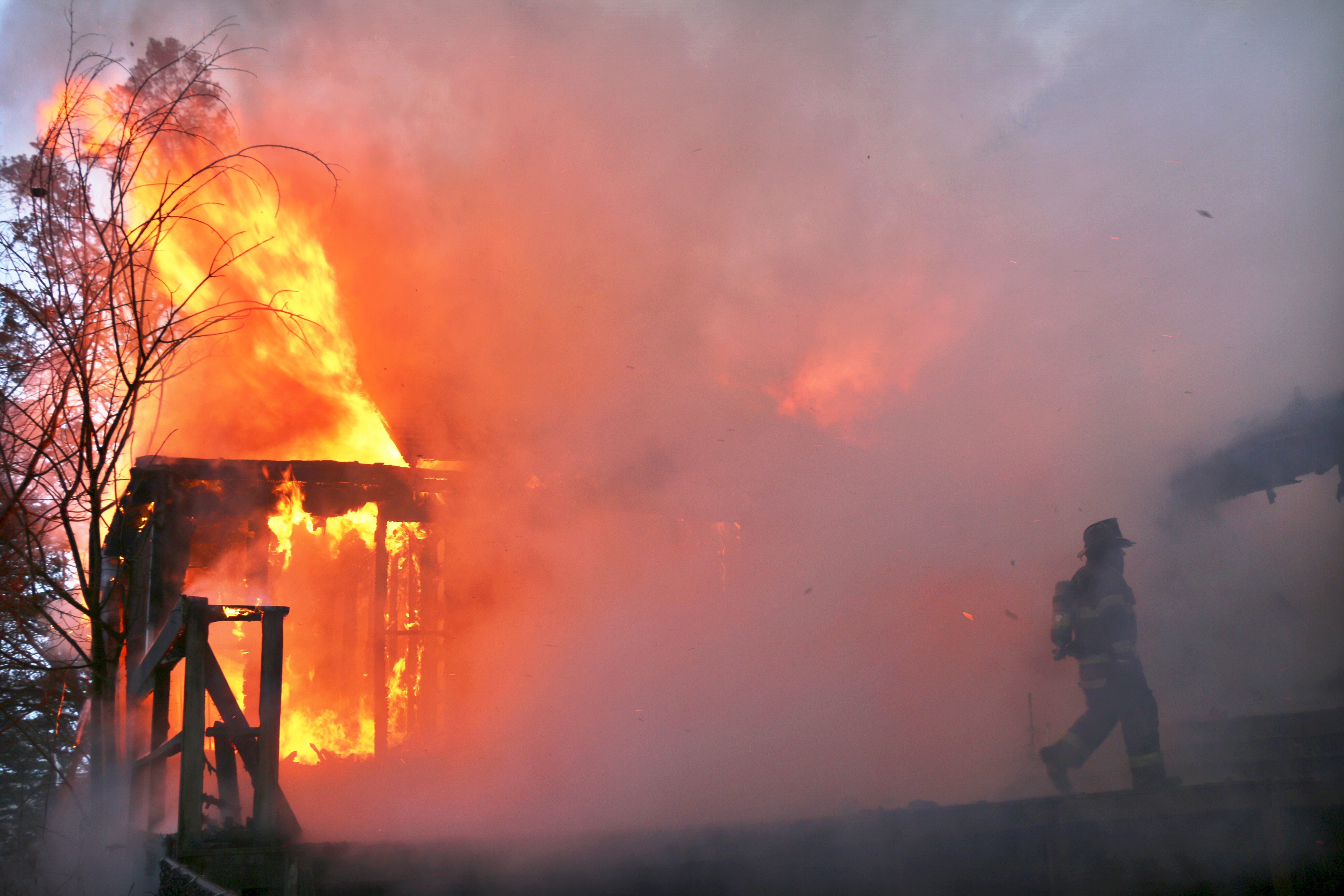 Photo courtesy of Bryan Lopez